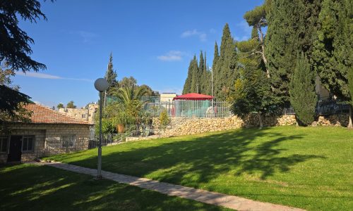 WhatsApp Image 2025-12-14 at 11.02.04