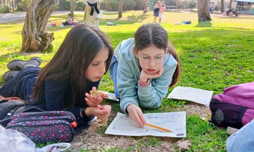 WhatsApp Image 2026-01-08 at 18.38.40