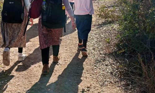 WhatsApp Image 2026-01-11 at 12.35.34