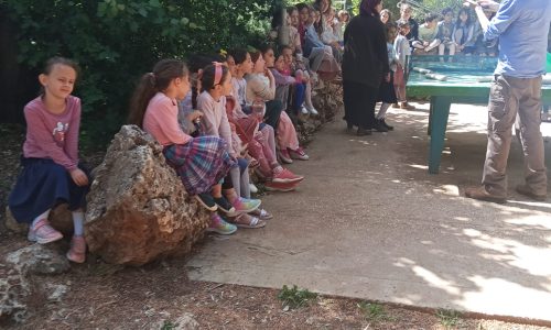 WhatsApp Image 2026-01-11 at 12.35.42 (1)