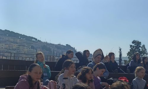 WhatsApp Image 2026-01-11 at 12.35.43