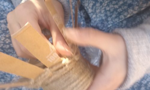 WhatsApp Image 2026-01-11 at 12.35.45 (1)