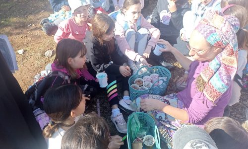 WhatsApp Image 2026-01-11 at 12.35.46 (1)