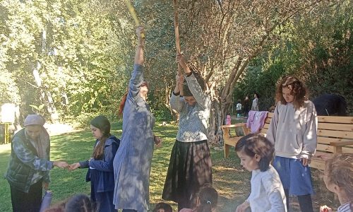 WhatsApp Image 2026-01-11 at 12.35.46